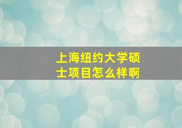 上海纽约大学硕士项目怎么样啊