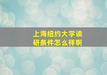 上海纽约大学读研条件怎么样啊