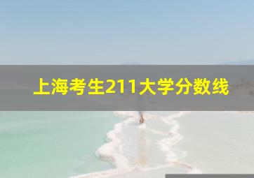 上海考生211大学分数线