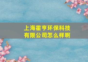 上海霍亨环保科技有限公司怎么样啊