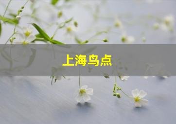 上海鸟点