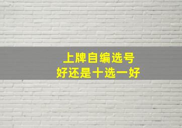 上牌自编选号好还是十选一好