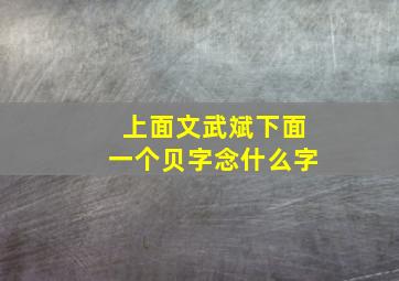 上面文武斌下面一个贝字念什么字