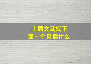 上面文武斌下面一个贝读什么