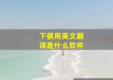 下棋用英文翻译是什么软件