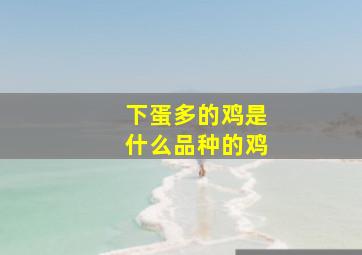 下蛋多的鸡是什么品种的鸡