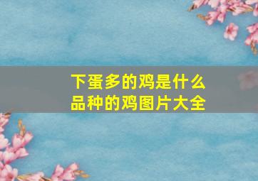 下蛋多的鸡是什么品种的鸡图片大全