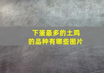 下蛋最多的土鸡的品种有哪些图片