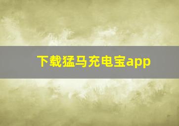 下载猛马充电宝app