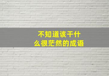 不知道该干什么很茫然的成语