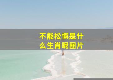 不能松懈是什么生肖呢图片