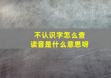 不认识字怎么查读音是什么意思呀