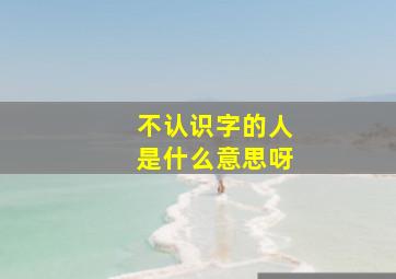 不认识字的人是什么意思呀