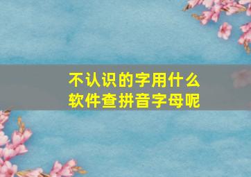 不认识的字用什么软件查拼音字母呢