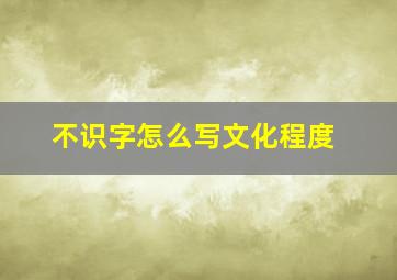 不识字怎么写文化程度