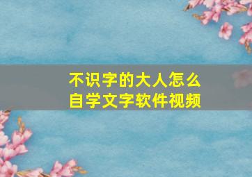 不识字的大人怎么自学文字软件视频