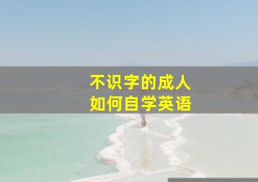 不识字的成人如何自学英语