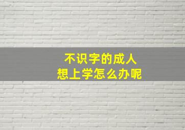 不识字的成人想上学怎么办呢