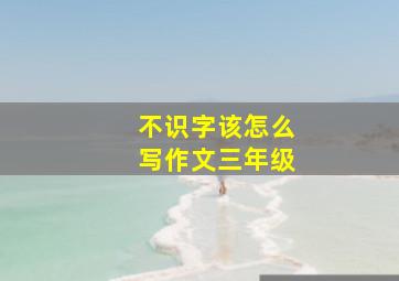 不识字该怎么写作文三年级