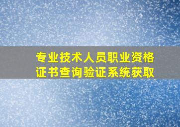 专业技术人员职业资格证书查询验证系统获取