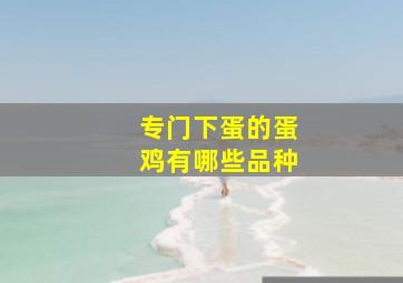 专门下蛋的蛋鸡有哪些品种