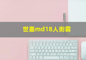 世嘉md18人街霸