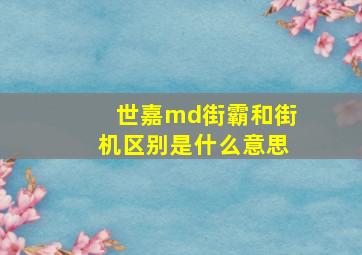 世嘉md街霸和街机区别是什么意思