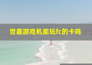 世嘉游戏机能玩fc的卡吗