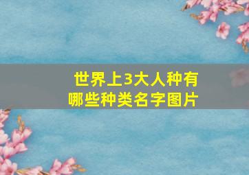 世界上3大人种有哪些种类名字图片