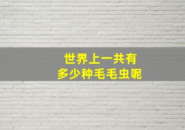 世界上一共有多少种毛毛虫呢