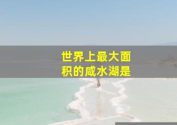 世界上最大面积的咸水湖是