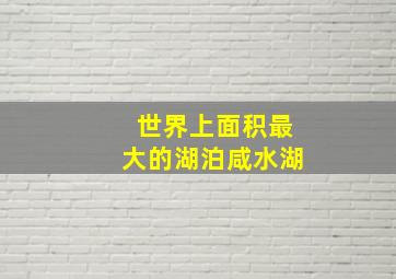 世界上面积最大的湖泊咸水湖