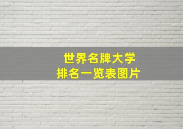 世界名牌大学排名一览表图片