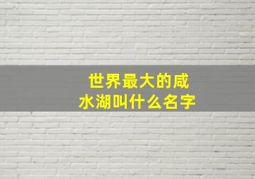 世界最大的咸水湖叫什么名字