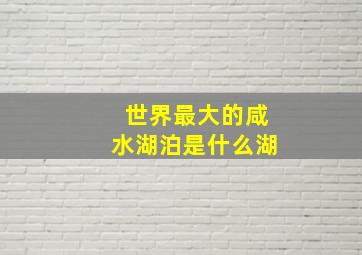 世界最大的咸水湖泊是什么湖