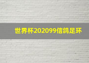 世界杯202099信鸽足环