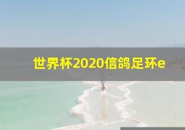 世界杯2020信鸽足环e