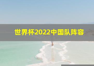 世界杯2022中国队阵容