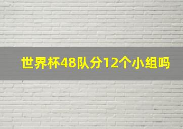 世界杯48队分12个小组吗