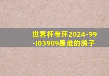 世界杯专环2024-99-I03909是谁的鸽子