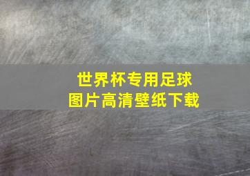 世界杯专用足球图片高清壁纸下载