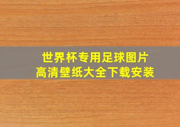 世界杯专用足球图片高清壁纸大全下载安装