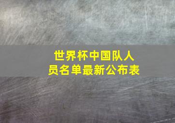 世界杯中国队人员名单最新公布表