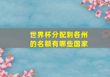 世界杯分配到各州的名额有哪些国家