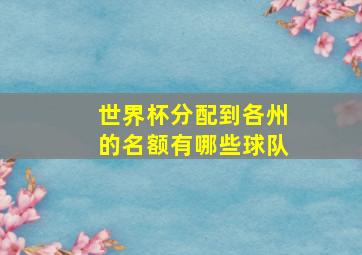 世界杯分配到各州的名额有哪些球队