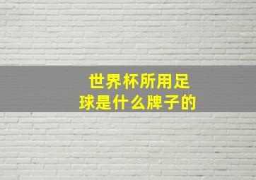 世界杯所用足球是什么牌子的