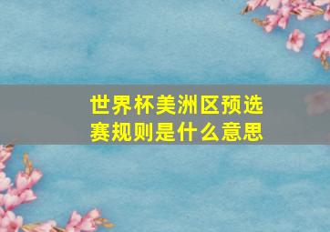 世界杯美洲区预选赛规则是什么意思