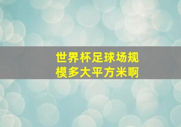 世界杯足球场规模多大平方米啊