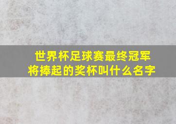 世界杯足球赛最终冠军将捧起的奖杯叫什么名字