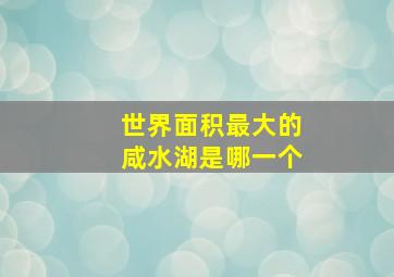 世界面积最大的咸水湖是哪一个